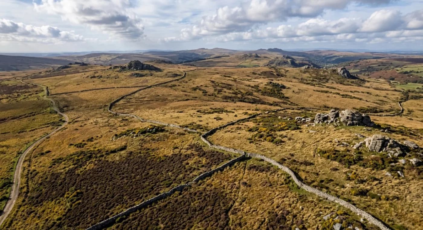 Wide aerial view of open Dartmoor moorland with scattered gorse and a stone wall boundary, the scale a ground search is up against